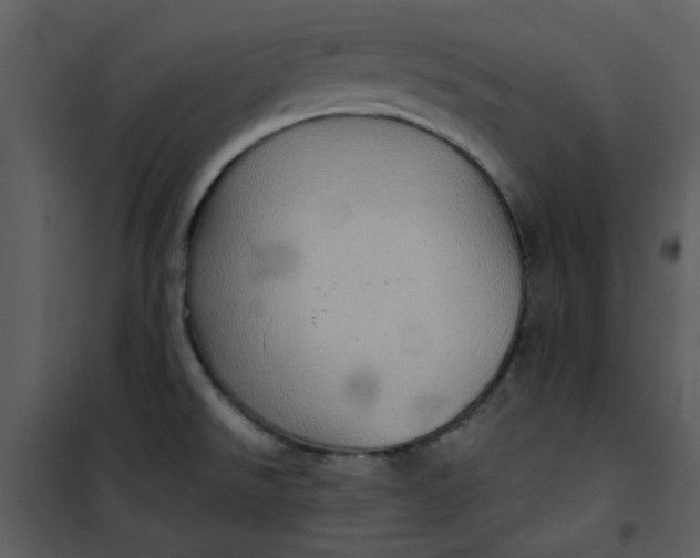 X0000101161526200807181346