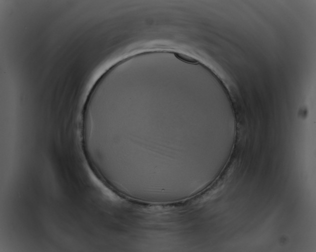 X0000101161527200807181346