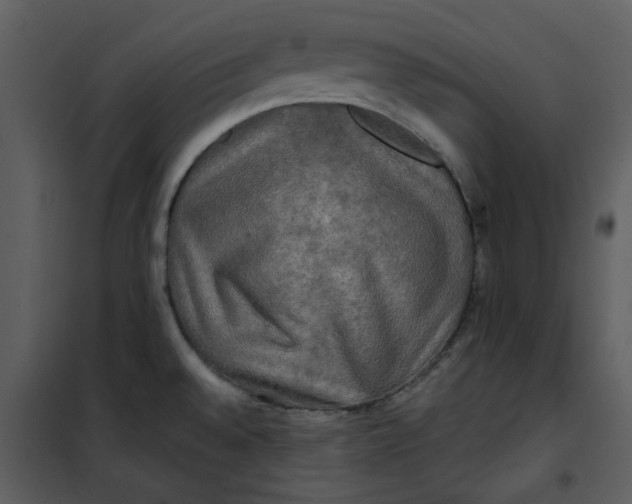 X0000101161528200807181346