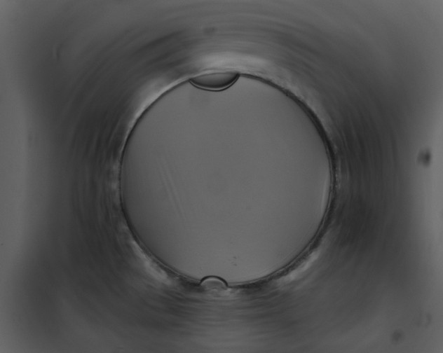 X0000101161529200807181346