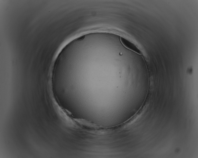 X0000101161530200807181346