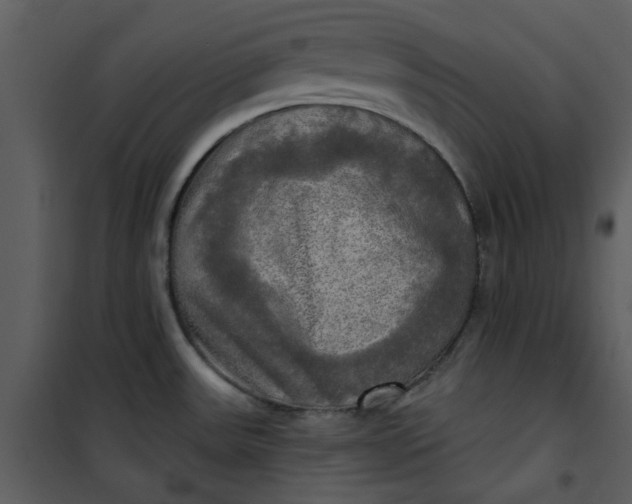 X0000101161531200807181346