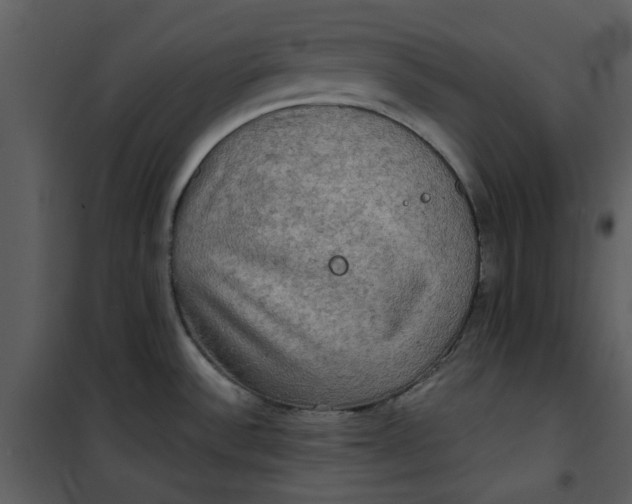 X0000101161532200807181346