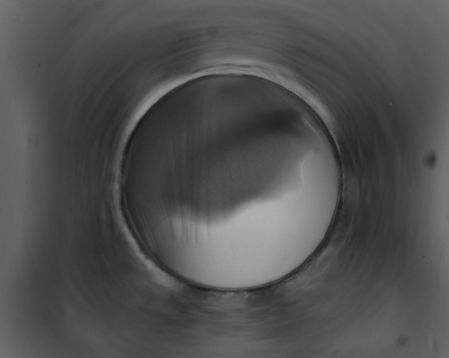 X0000101161533200807181346