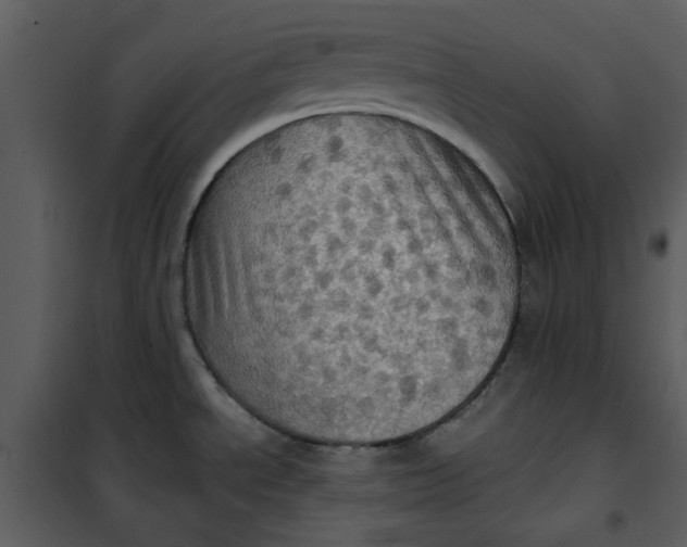 X0000101161534200807181346