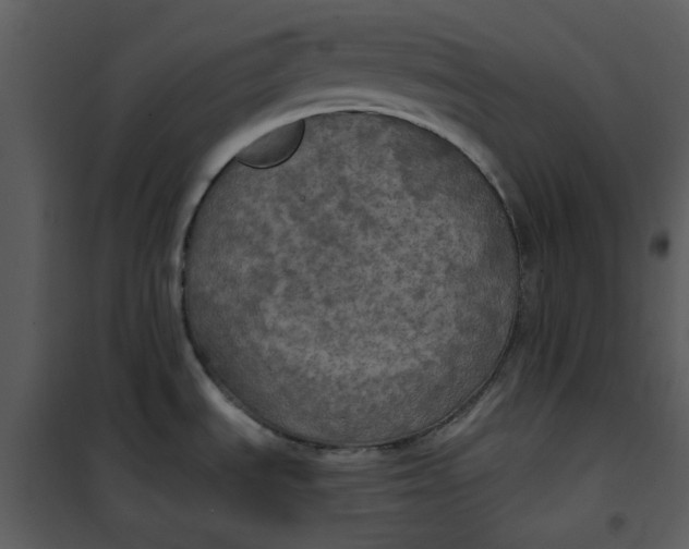 X0000101161535200807181346