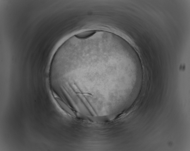 X0000101161536200807181347