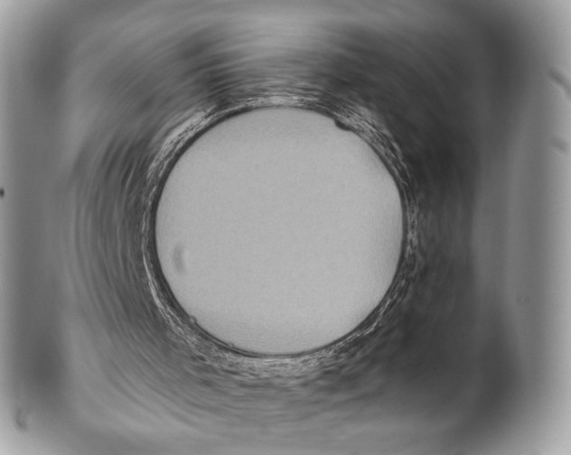 X0000101160001200807251121