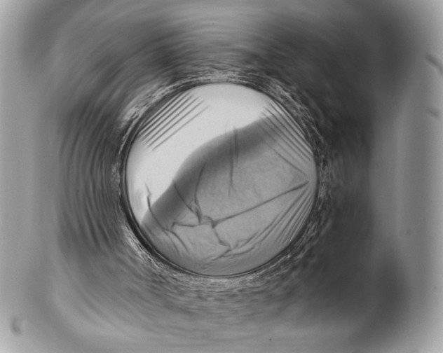 X0000101160002200807251121