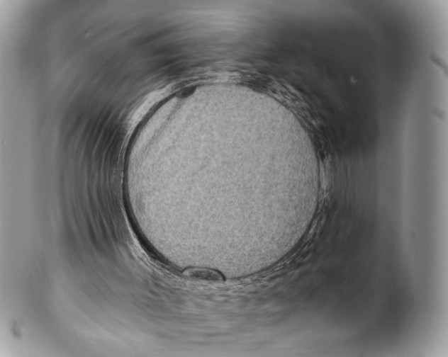 X0000101160003200807251121
