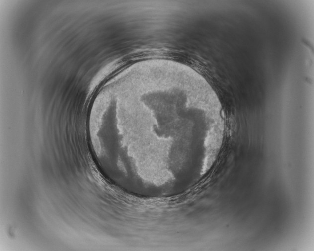 X0000101160004200807251121