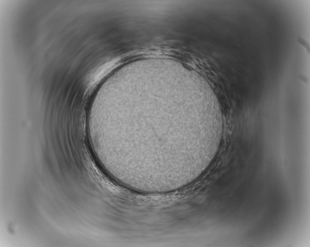 X0000101160005200807251121