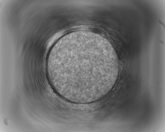 X0000101160006200807251121