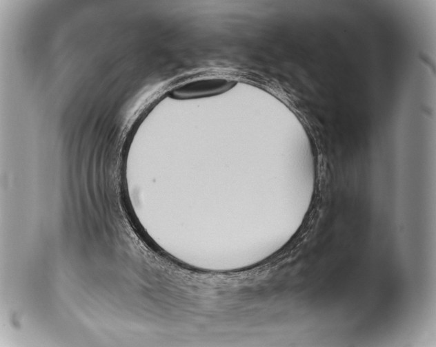 X0000101160007200807251121