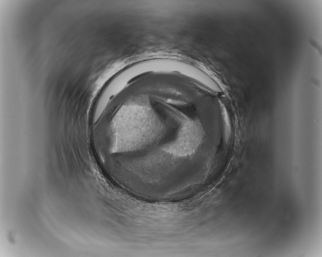 X0000101160008200807251121