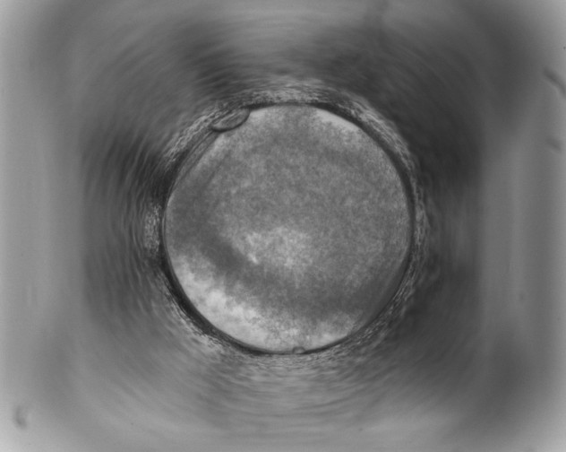 X0000101160009200807251121