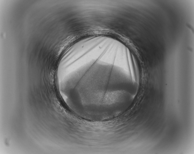 X0000101160010200807251121