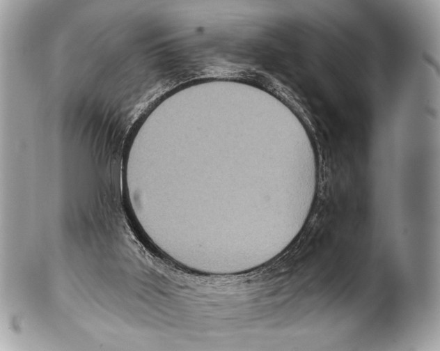 X0000101160011200807251121