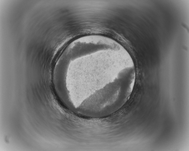 X0000101160012200807251121