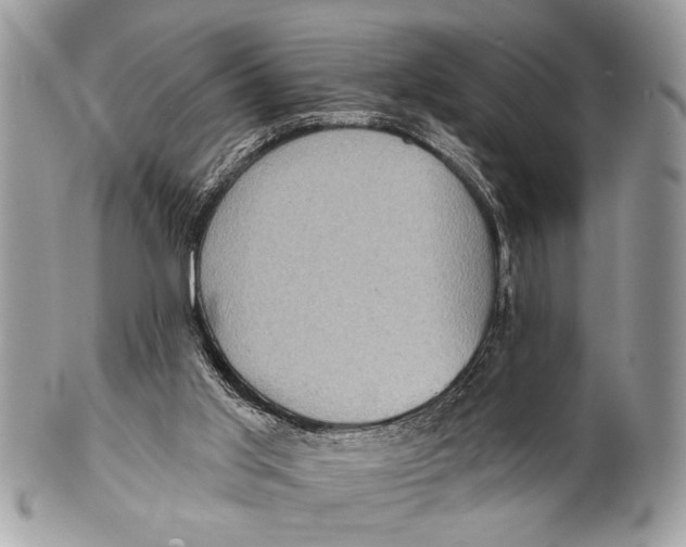 X0000101160013200807251121