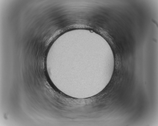 X0000101160015200807251121