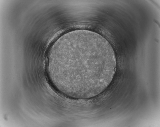 X0000101160016200807251120