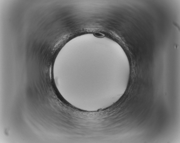 X0000101160019200807251120