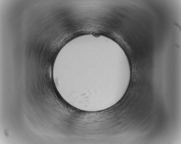 X0000101160021200807251120