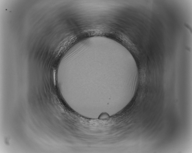 X0000101160022200807251120