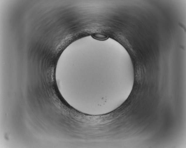 X0000101160023200807251120