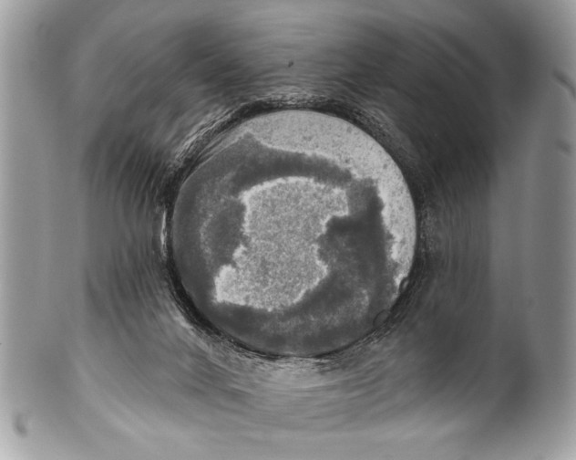 X0000101160024200807251120
