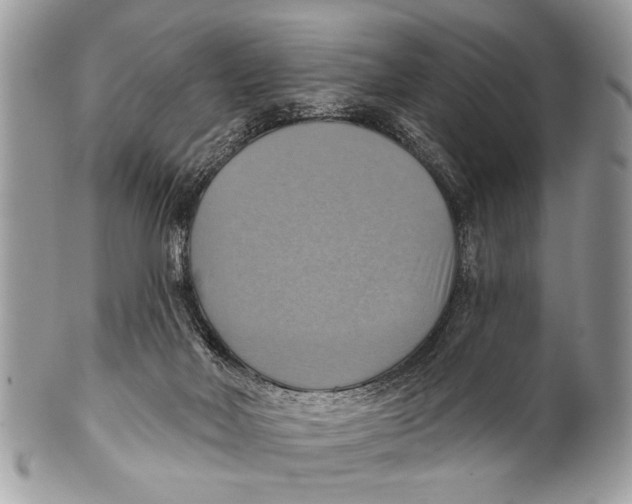 X0000101160026200807251120