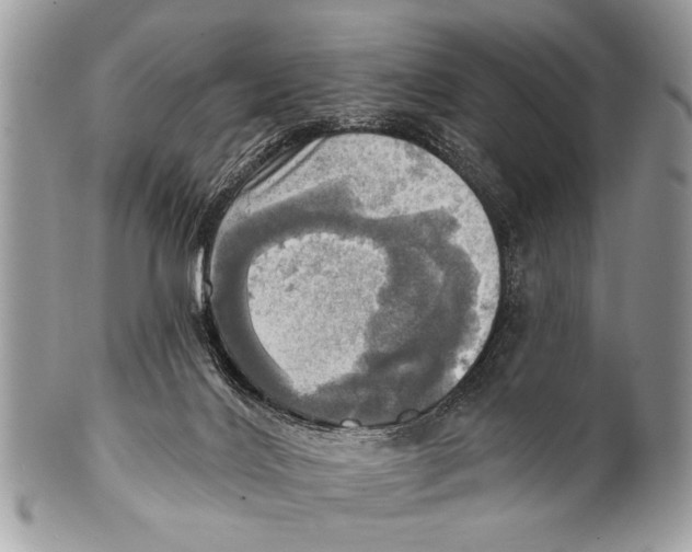 X0000101160028200807251120