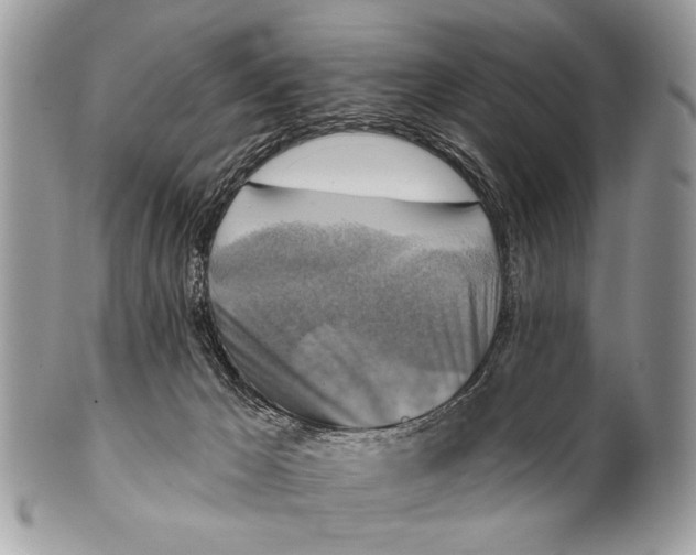 X0000101160029200807251120
