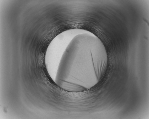 X0000101160030200807251120