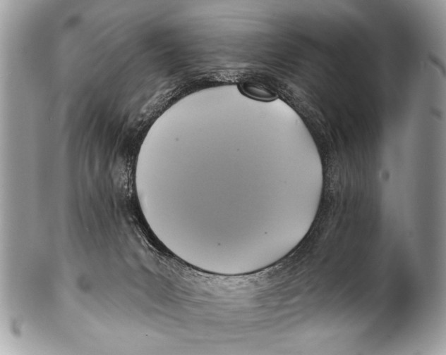 X0000101160031200807251120