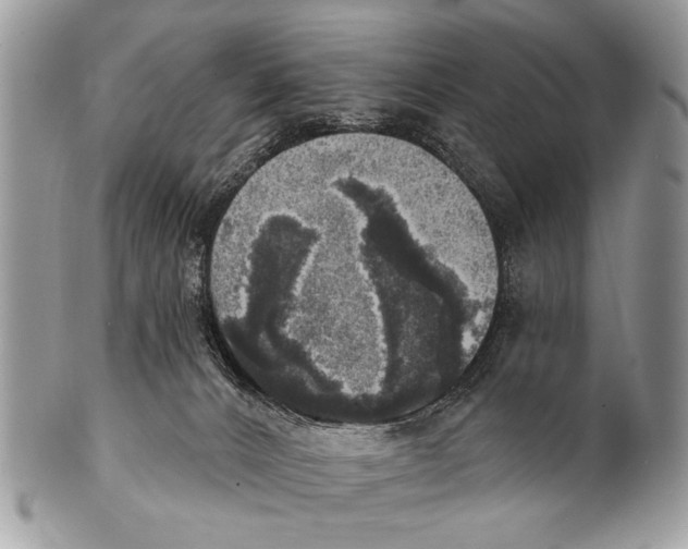 X0000101160032200807251120