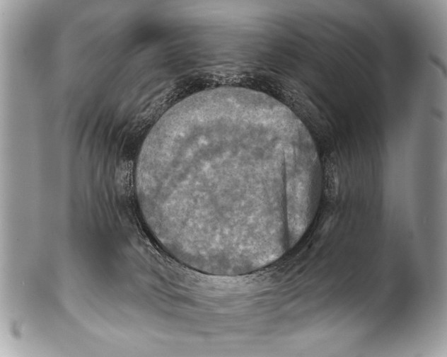 X0000101160034200807251120