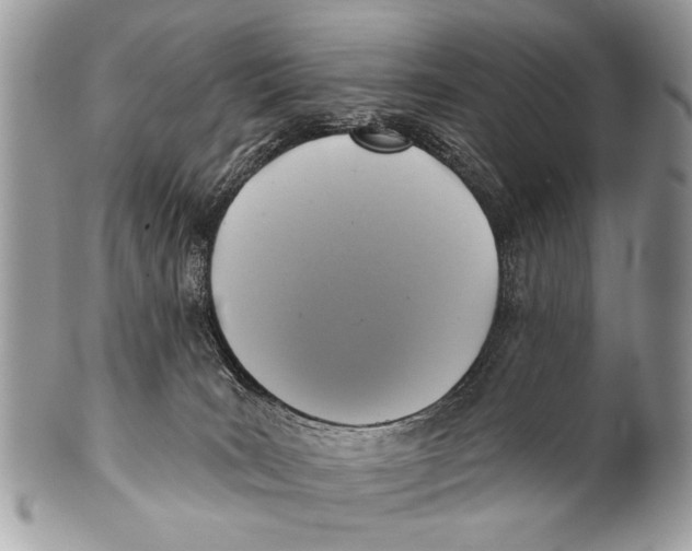 X0000101160035200807251120