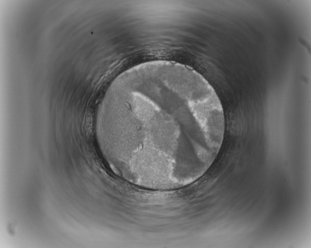 X0000101160036200807251120