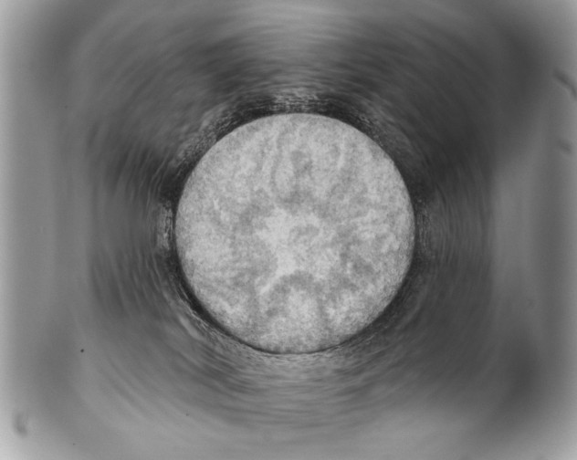 X0000101160038200807251120