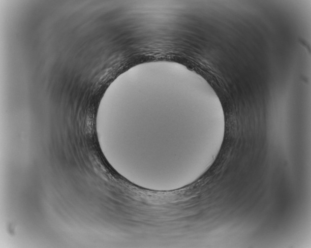 X0000101160039200807251120