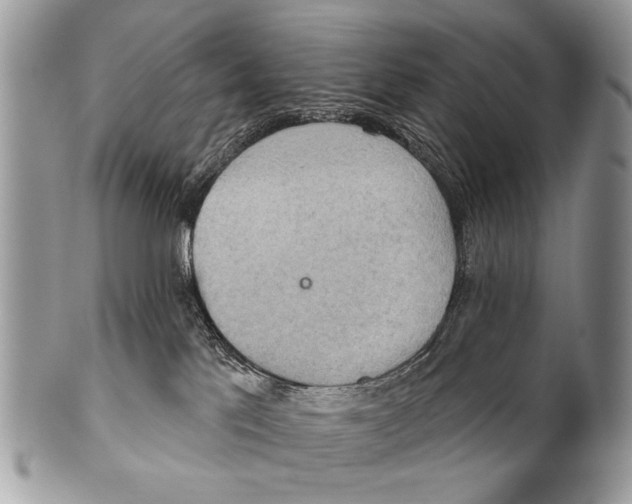 X0000101160041200807251120