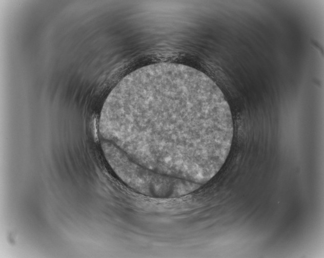 X0000101160042200807251120
