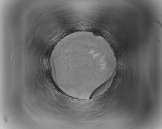 X0000101160043200807251120