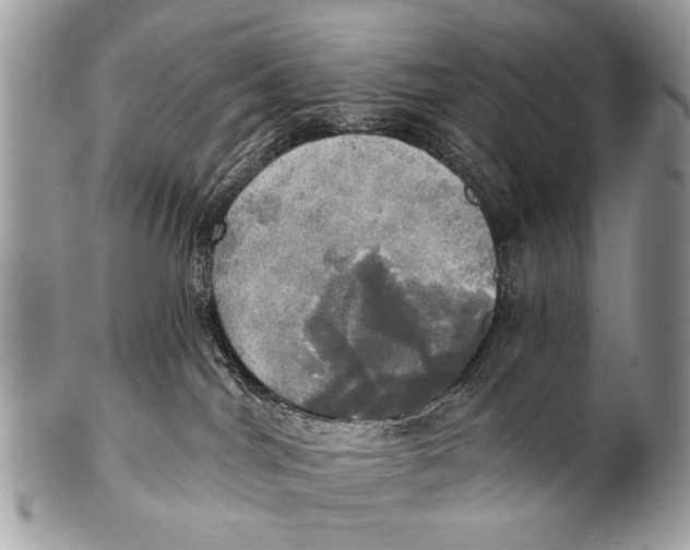 X0000101160044200807251120