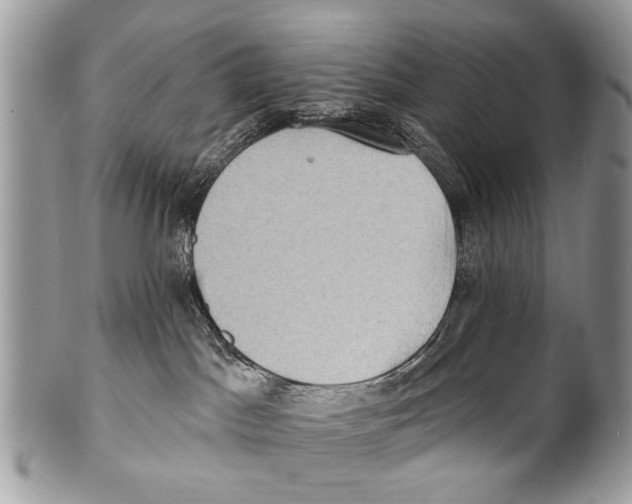 X0000101160045200807251120