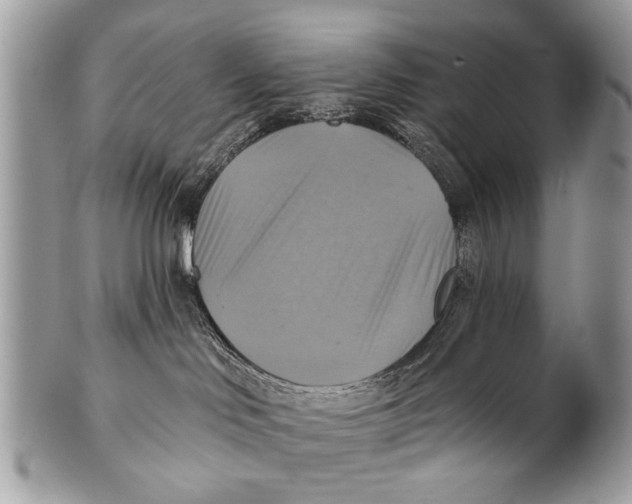 X0000101160046200807251120