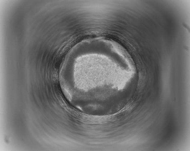 X0000101160048200807251120
