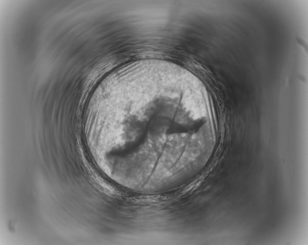 X0000101160049200807251119